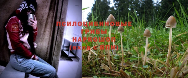 ешки Нязепетровск