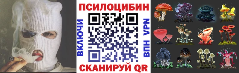 ОМГ ОМГ как зайти Рыльск Галлюциногенные грибы Magic Shrooms